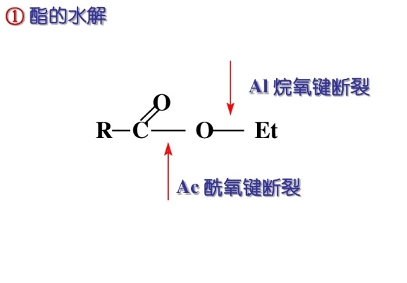 酯